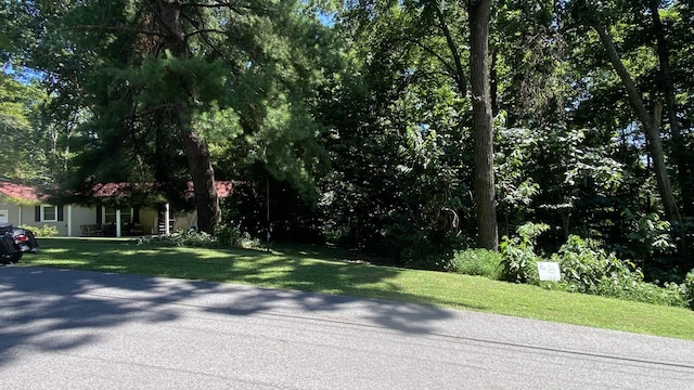 1166 Lake Marie Rd, Gallatin, TN 37066 - photo 4