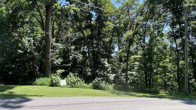 1166 Lake Marie Rd, Gallatin, TN 37066 - photo 6