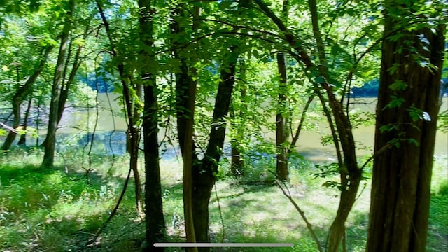 1166 Lake Marie Rd, Gallatin, TN 37066 - photo 1