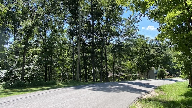 1166 Lake Marie Rd, Gallatin, TN 37066 - photo 5