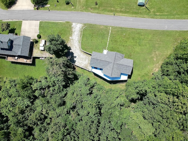 465 Turtle Point Ln, Waverly, TN 37185 - aerial view