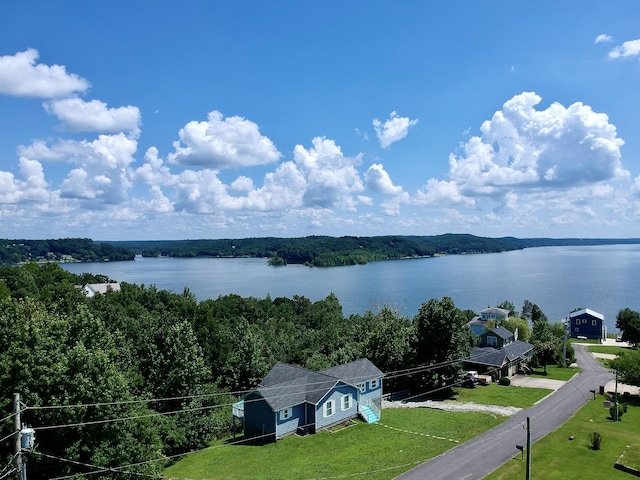 465 Turtle Point Ln, Waverly, TN 37185 - water view