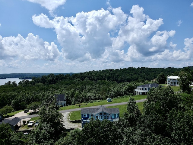 465 Turtle Point Ln, Waverly, TN 37185 - aerial view of a forest and a nearby body of water