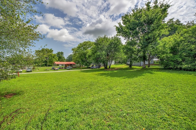 30165 Austin St, Ardmore, TN 38449 - photo 27