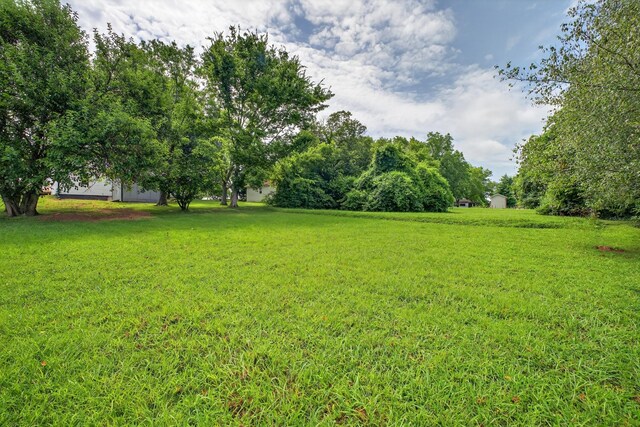 30165 Austin St, Ardmore, TN 38449 - photo 29