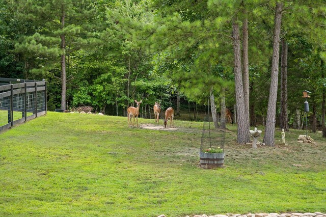 3767 Lee Pike, Soddy Daisy, TN 37379 - view of grassy yard