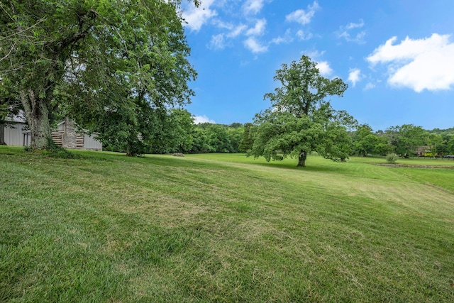 2485 Old Natchez Trce, Franklin, TN 37069 - view of green lawn