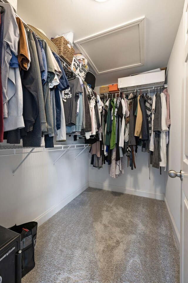 222 Fowler Cir, Franklin, TN 37064 - spacious closet featuring carpet floors and attic access