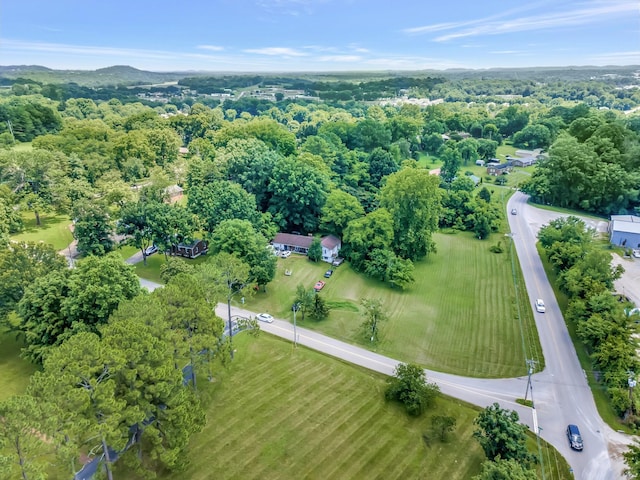 303 W Hardin Dr, Columbia, TN 38401