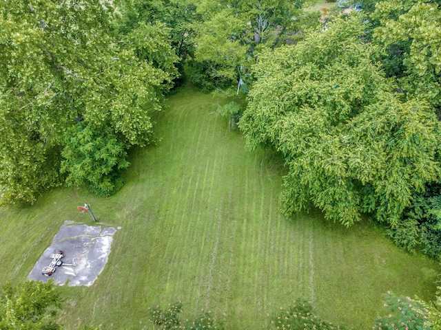 303 W Hardin Dr, Columbia, TN 38401