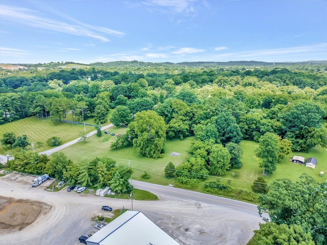 303 W Hardin Dr, Columbia, TN 38401