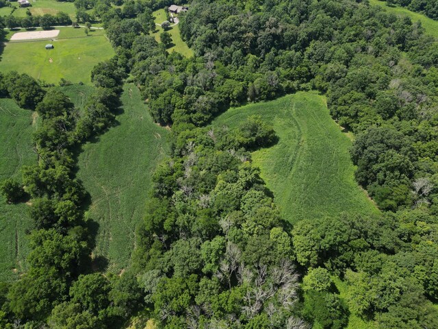 3349 Sweeney Hollow Rd, Franklin, TN 37064 - view of property location with a forest