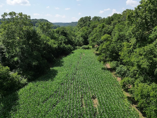 3349 Sweeney Hollow Rd, Franklin, TN 37064 - view of property location with a forest