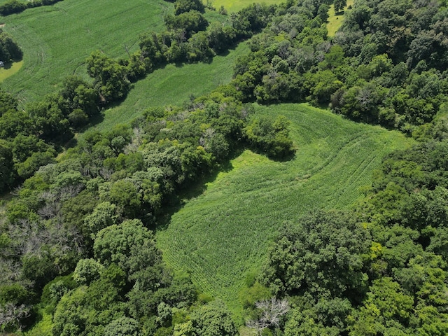 3349 Sweeney Hollow Rd, Franklin, TN 37064 - aerial view of property and surrounding area with a forest