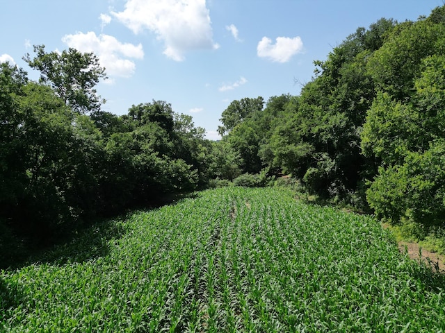3349 Sweeney Hollow Rd, Franklin, TN 37064 - view of undeveloped land