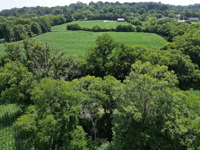 3349 Sweeney Hollow Rd, Franklin, TN 37064 - view of property location with a forest