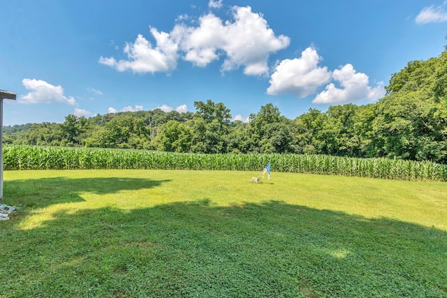 3349 Sweeney Hollow Rd, Franklin, TN 37064 - view of grassy yard with a forest view