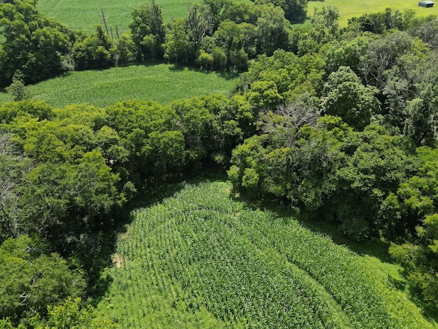 3349 Sweeney Hollow Rd, Franklin, TN 37064 - bird's eye view