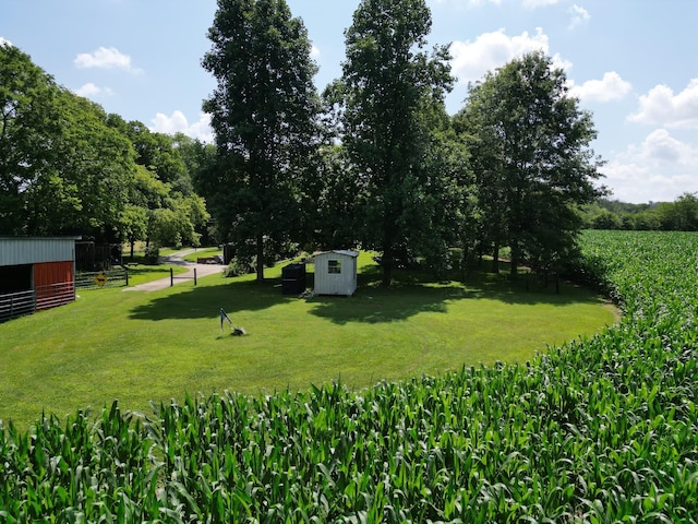 3349 Sweeney Hollow Rd, Franklin, TN 37064 - view of yard with a storage unit