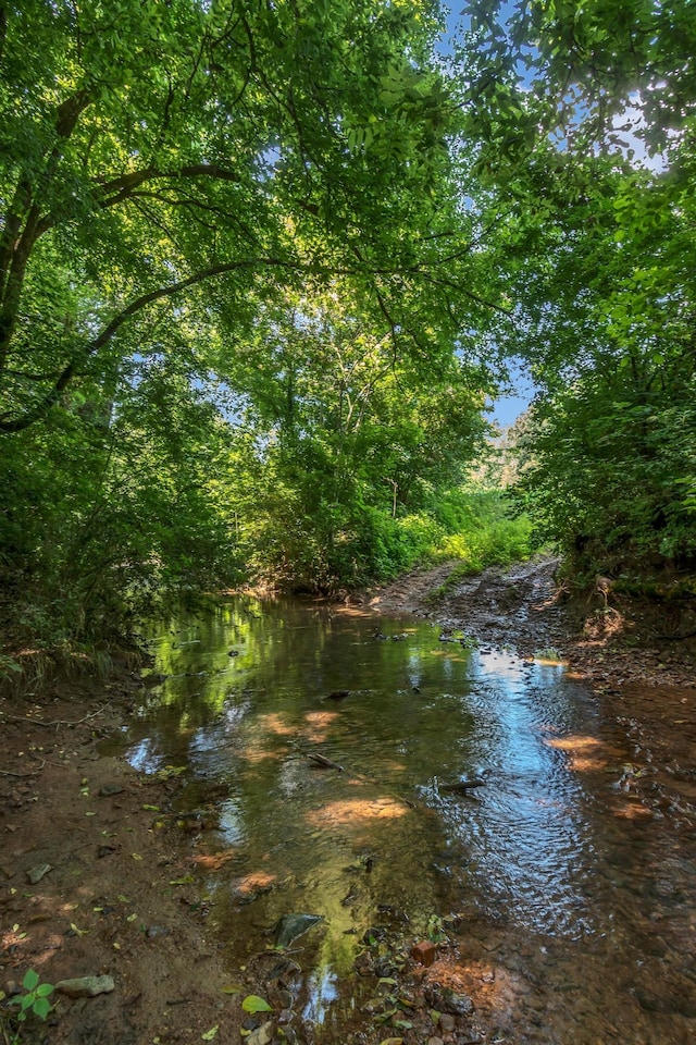 3349 Sweeney Hollow Rd, Franklin, TN 37064 - water view