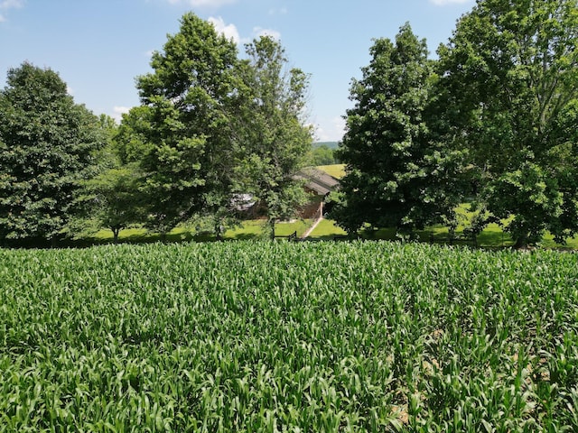 3349 Sweeney Hollow Rd, Franklin, TN 37064 - view of yard