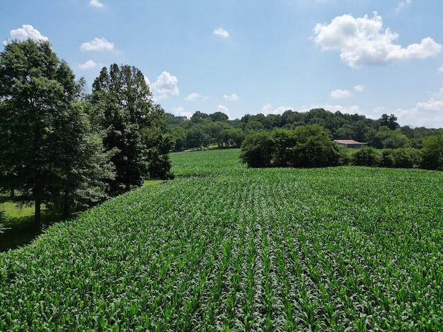 3349 Sweeney Hollow Rd, Franklin, TN 37064 - view of undeveloped land
