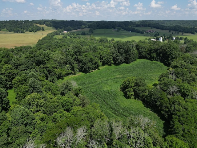 3349 Sweeney Hollow Rd, Franklin, TN 37064 - aerial overview of property's location