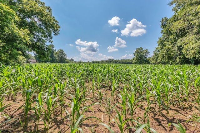 3349 Sweeney Hollow Rd, Franklin, TN 37064 - view of nature featuring extensive farmland and rural landscape
