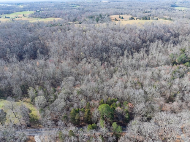 829 Furnace Hollow Rd, Dickson, TN 37055 - photo 4