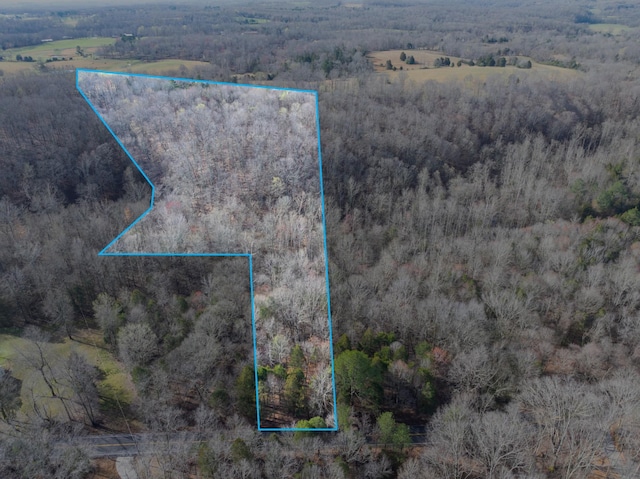 829 Furnace Hollow Rd, Dickson, TN 37055 - photo 1