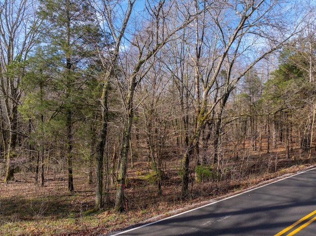 829 Furnace Hollow Rd, Dickson, TN 37055 - photo 3