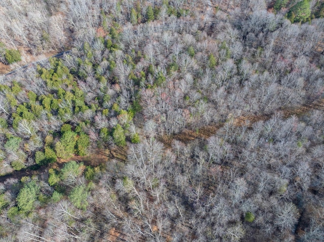 829 Furnace Hollow Rd, Dickson, TN 37055 - photo 6