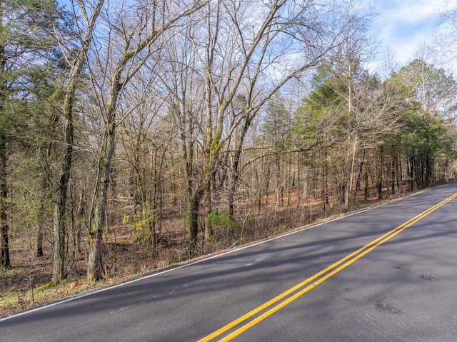 829 Furnace Hollow Rd, Dickson, TN 37055 - photo 2