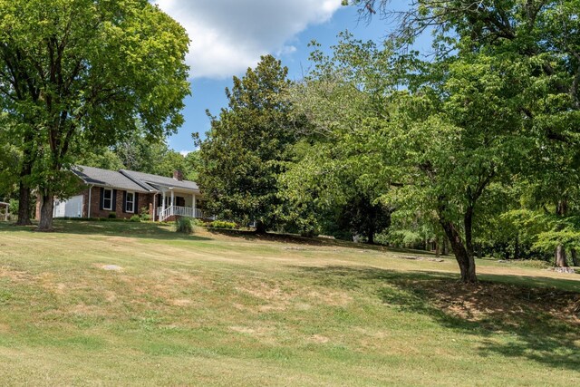 775 Owl Hollow Rd, Pulaski, TN 38478