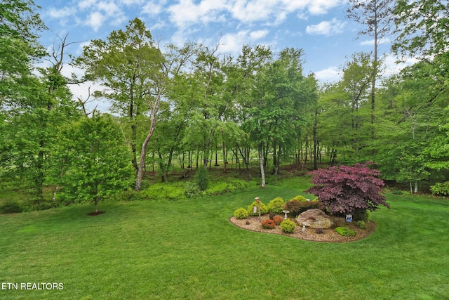 56 Westridge Ct, Crossville, TN 38558 - photo 50