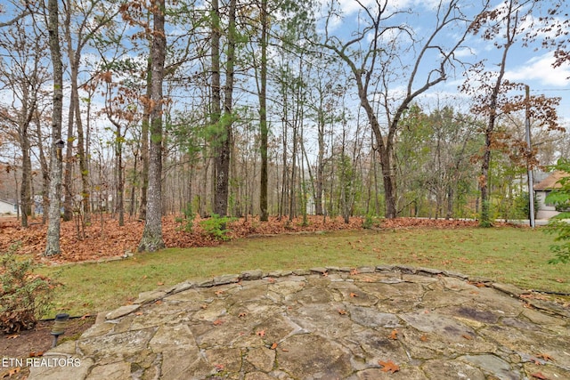 10 Briar Ct, Crossville, TN 38558 - photo 36