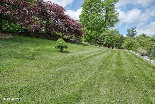 145 Pineridge Loop, Crossville, TN 38558 - view of yard