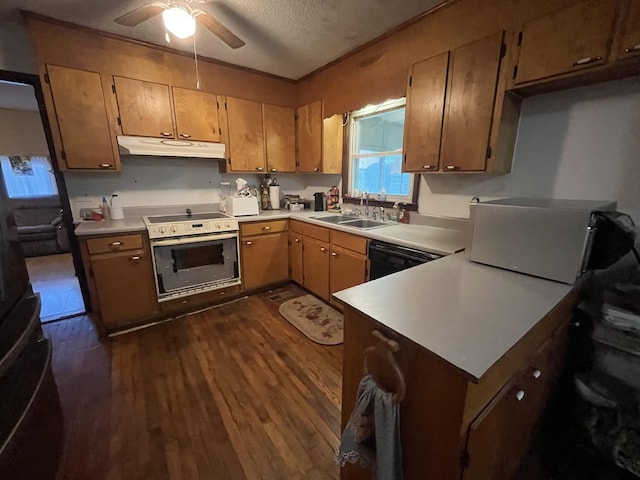 1465 Old Farmington Rd, Lewisburg, TN 37091 - kitchen featuring under cabinet range hood, wall oven, dark wood finished floors, light countertops, and a textured ceiling