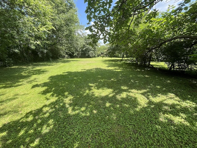 1465 Old Farmington Rd, Lewisburg, TN 37091 - view of grassy yard