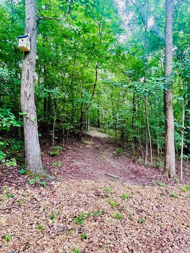 5833 Dewey Carr Rd, Bethpage, TN 37022 - photo 14