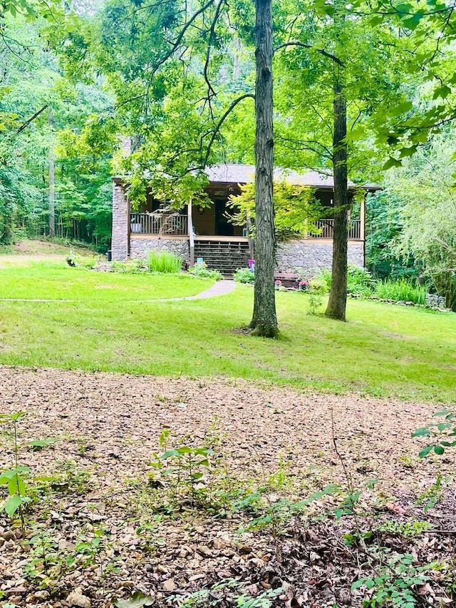 5833 Dewey Carr Rd, Bethpage, TN 37022 - photo 3