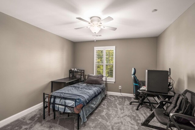 4604 Robin Ln, Nolensville, TN 37135 - photo 33