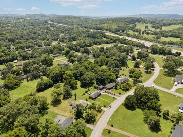 812 E Campbell Rd, Madison, TN 37115 - photo 50