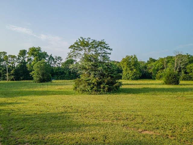 5283 Eagleville Pike, Eagleville, TN 37060 - view of grassy yard