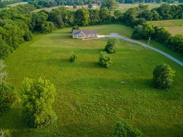 5283 Eagleville Pike, Eagleville, TN 37060 - aerial view of sparsely populated area