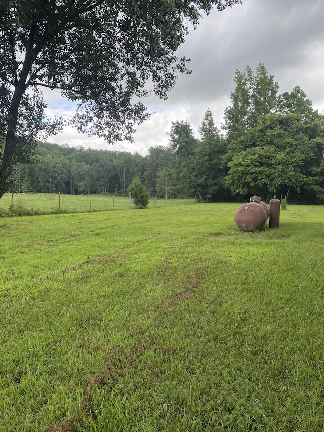 410 Red Sartain Rd, Pelham, TN 37366 - photo 25