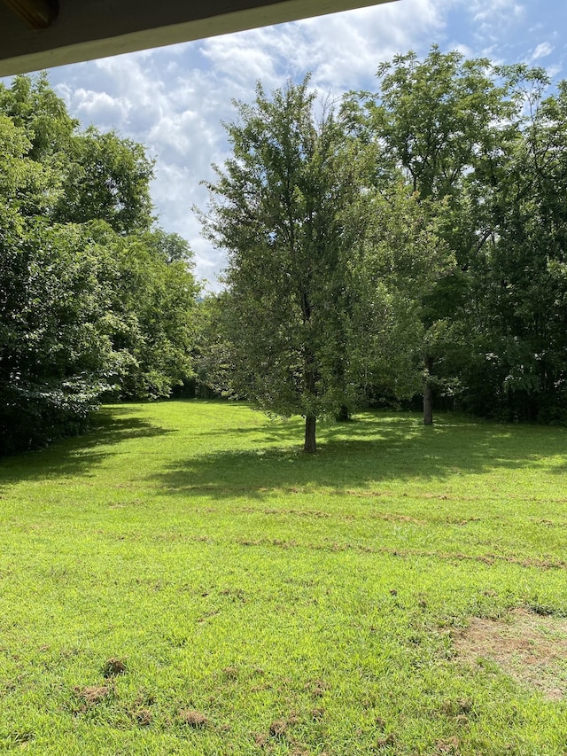 410 Red Sartain Rd, Pelham, TN 37366 - photo 31