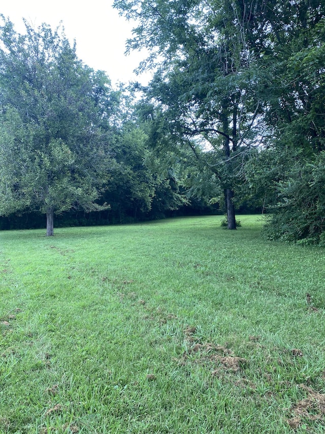 410 Red Sartain Rd, Pelham, TN 37366 - photo 23