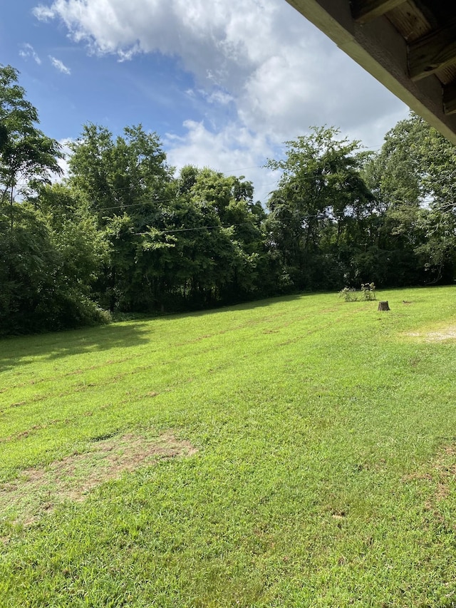 410 Red Sartain Rd, Pelham, TN 37366 - photo 32