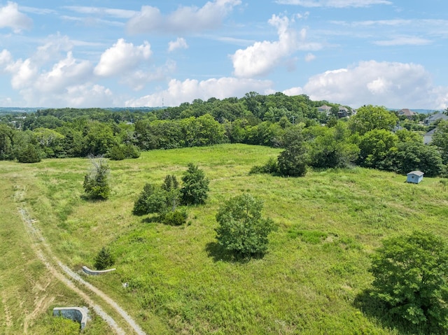 1177 Waller Rd, Brentwood, TN 37027 - photo 10